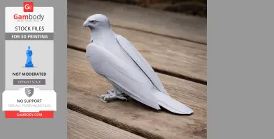 Brahminy Kite - Prehistoric Animal STL