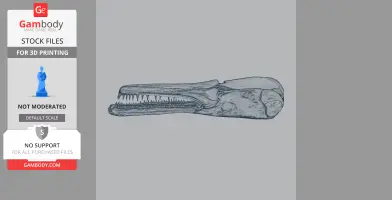 3D model of a longnose alligator gar skull with detailed teeth and bone structure for printing.