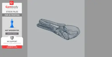 3D model of a detailed alligator gar skull, showing long snout and sharp teeth.
