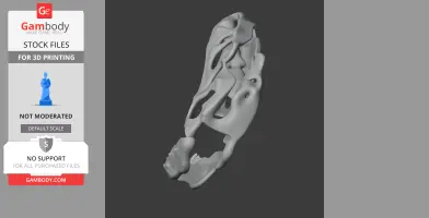 3D Allosaurus skull model with open bone structure, angled to show side view.