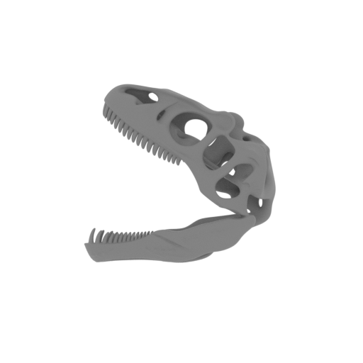 Allosaurus Skull.stl