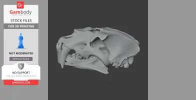 3D model of an Amphimachairodus skull replica, showing detailed bone structure for printing.