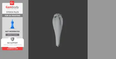 3D model of Andean flamingo skull for printing, shown in profile view against a dark background.