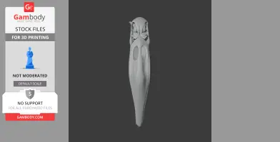 3D model of an Andean flamingo skull, showcasing intricate details and elongated shape.