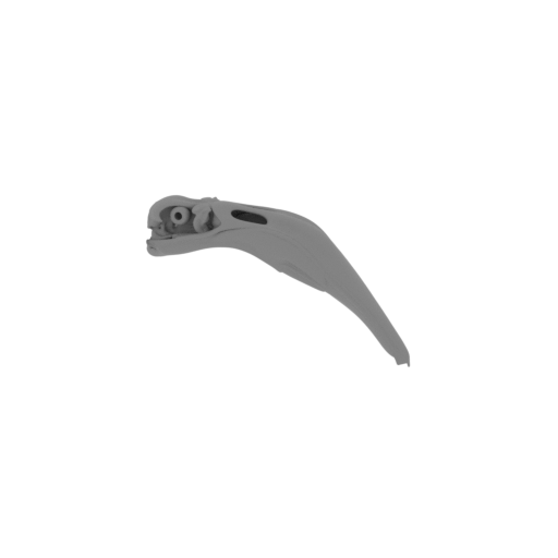 Andean Flamingo Skull.stl