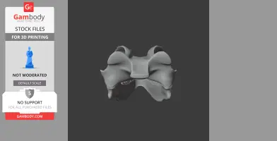 3D model of an Andrewsarchus skull replica, viewed from the front on a dark background.