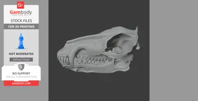 Andrewsarchus skull replica STL file for 3D printing, lateral view showing teeth and skull structure.