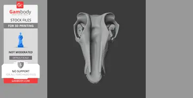 3D model of an Andrewsarchus skull, featuring detailed bone structure, front view.