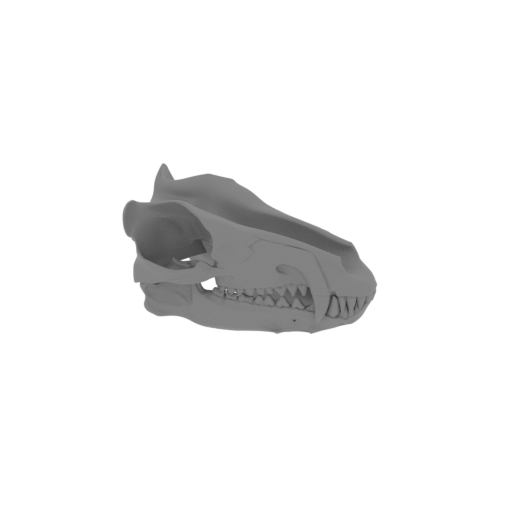 Andrewsarchus Skull.stl