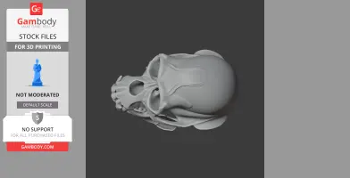 3D model of an Apidium skull for printing, showcasing detailed bone structure from a side view.