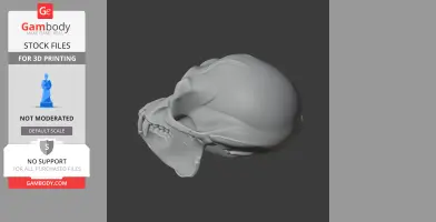 3D model of an Apidium skull, side view, showing detailed bone structure for 3D printing.