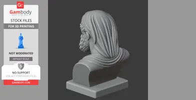 A 3D-printed bust of an ancient warrior with a beard and draped cloth on a pedestal, viewed from the back.