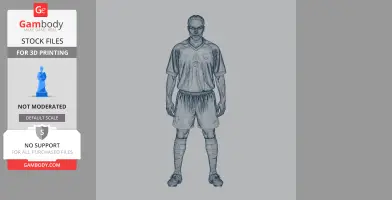 A 3D figure of a soccer player in uniform, standing with arms at sides, for 3D printing preparation.