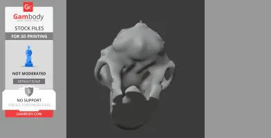 3D model of an Aegyptopithecus skull replica, designed for 3D printing.