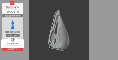 Aepyornis maximus Skull - Skull Replica STL