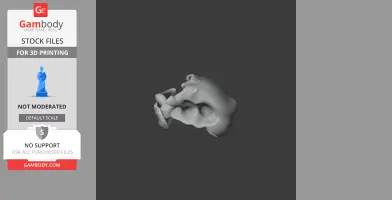 Aepyornis maximus Skull - Skull Replica STL