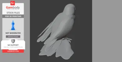 American Kestrel - Prehistoric Animal STL