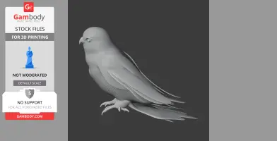 American Kestrel - Prehistoric Animal STL
