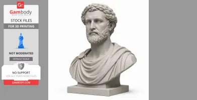 Antoninus Pius Bust - Historical Warrior STL