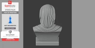 Archimedes Bust - Historical Warrior STL