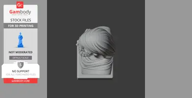 Archimedes Bust - Historical Warrior STL