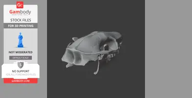 African Pygmy Hedgehog Skull - Skull Replica STL