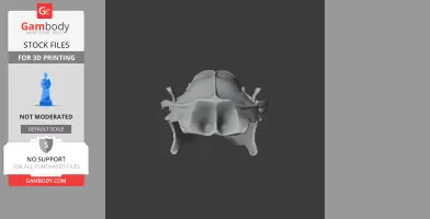 African Pygmy Hedgehog Skull - Skull Replica STL