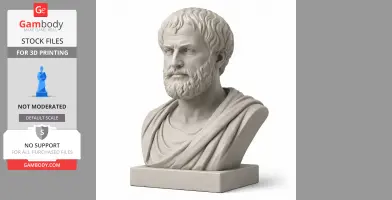 Bust of a bearded man in a classical robe, displayed on a square base, designed for 3D printing.