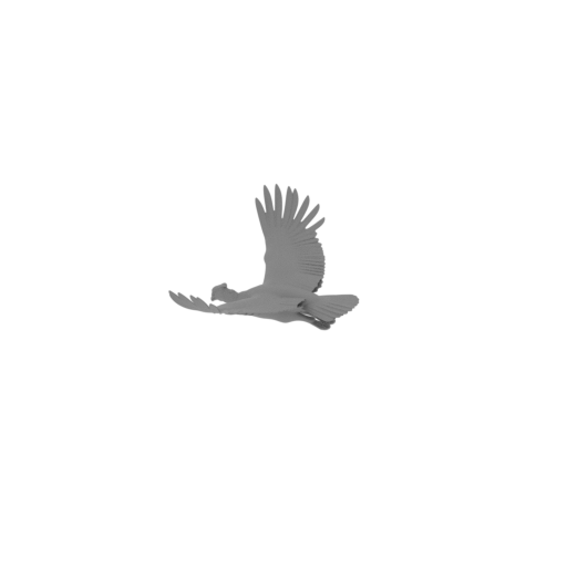 Andean Condor.stl