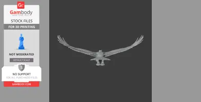 3D model of an Andean Condor with outstretched wings, designed for 3D printing.