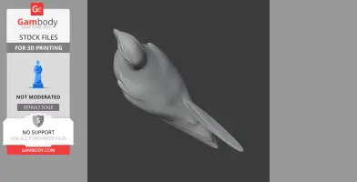Atlantic Puffin - Prehistoric Animal STL