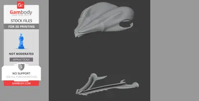 3D model of an Agile Antechinus skull and jawbone for printing. Gray STL file on a dark background.