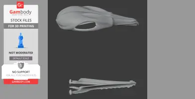 3D model of an Agile Antechinus skull and jawbone for 3D printing, side and top views.