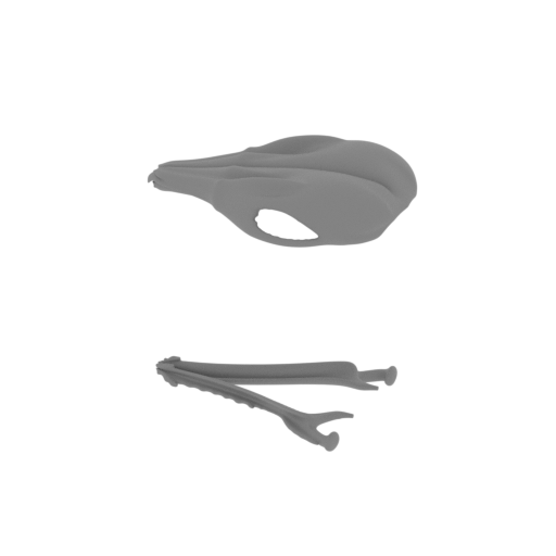 Agile Antechinus Skull.stl