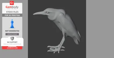 A 3D model of a Black-crowned Night Heron, side view, standing with detailed features for printing.