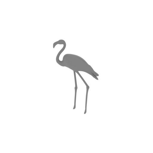 American Flamingo.stl