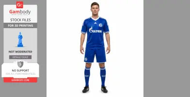 Klaas-Jan Huntelaar Figurine - Religious Statue STL
