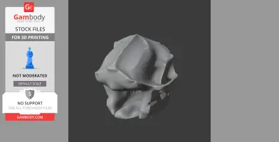 3D model of an Aegyptopithecus skull, designed for 3D printing, displayed in grayscale.