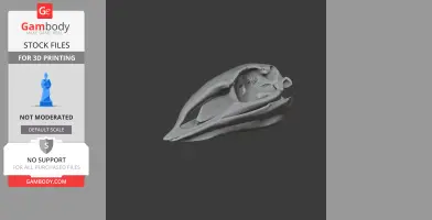 3D model of a detailed Aepyornis maximus skull for 3D printing.