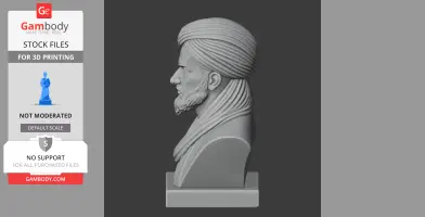 Avicenna Bust - Historical Warrior STL