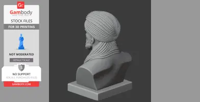 Avicenna Bust - Historical Warrior STL