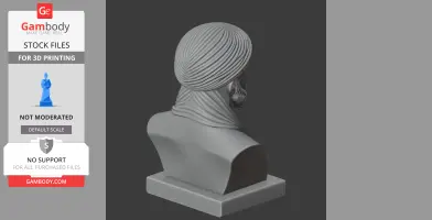 Avicenna Bust - Historical Warrior STL