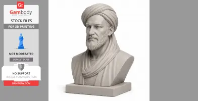 Avicenna Bust - Historical Warrior STL