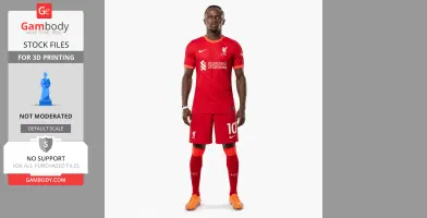 Sadio Mane Figurine - Religious Statue STL