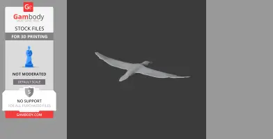 Cape Gannet - Prehistoric Animal STL