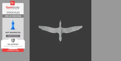 Cape Gannet - Prehistoric Animal STL