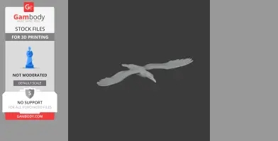 Cape Gannet - Prehistoric Animal STL