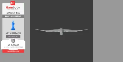 Cape Gannet - Prehistoric Animal STL