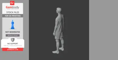 A 3D model of a soccer player in uniform, standing upright with arms at sides, viewed from the back.