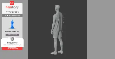 A 3D model of a standing male soccer player in a jersey and shorts, viewed from the back.